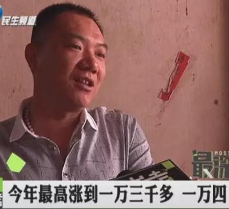 河南蒜商遇“傻子年” 一夜成千万富翁