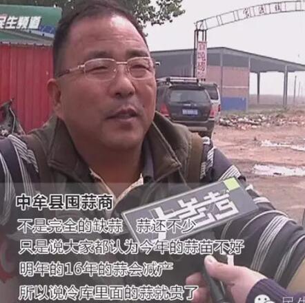 河南蒜商遇“傻子年” 一夜成千万富翁
