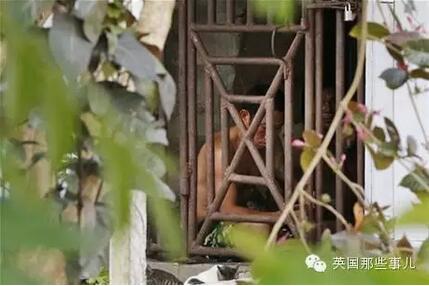 普利策奖女记者：揭露不公 而不是粉饰太平