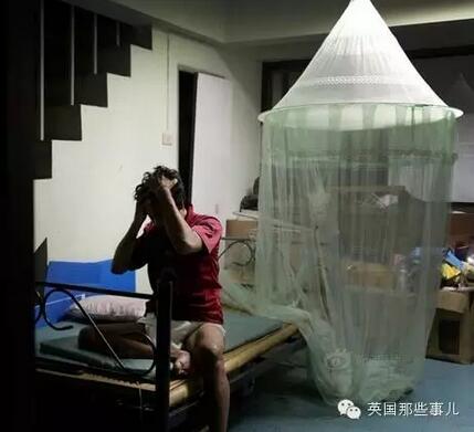 普利策奖女记者：揭露不公 而不是粉饰太平