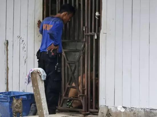 普利策奖女记者：揭露不公 而不是粉饰太平