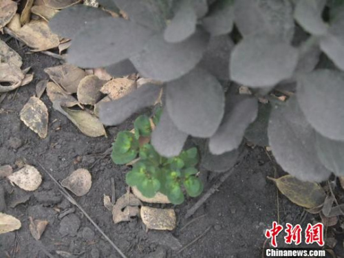 河南：村民污染投诉5年 官方持续回应：正处理
