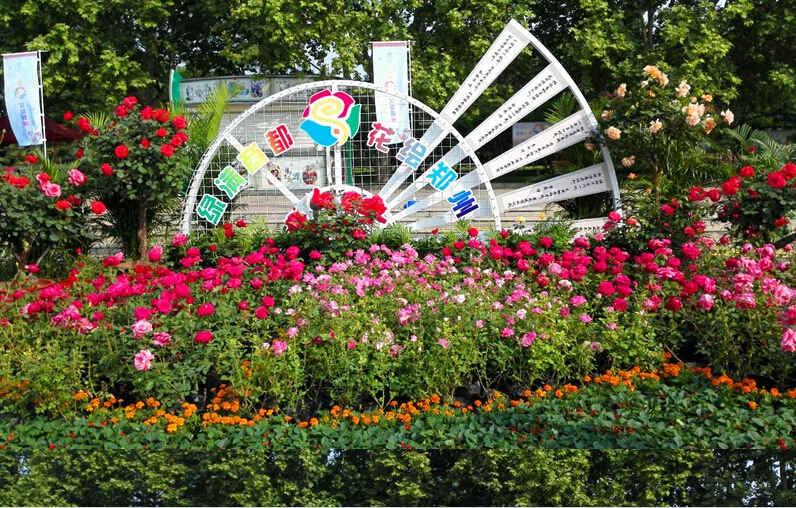 郑州市第二十二届月季花展开幕