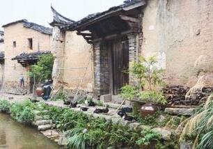 河南平顶山：扶贫领域除“蚁贪”一年立案百余起