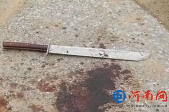河南7旬老太帮儿子砍情敌 却失手杀死亲儿子