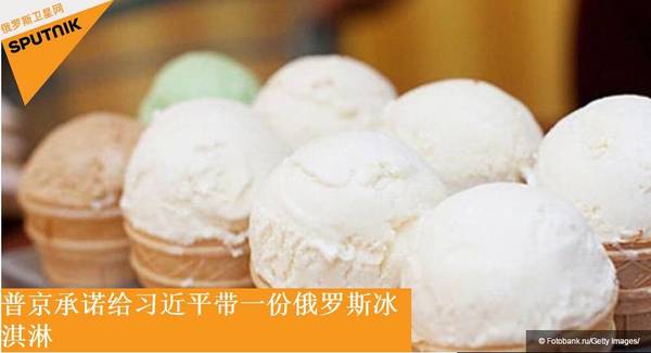 普京为习近平带来一箱冰激凌作为礼物(图)