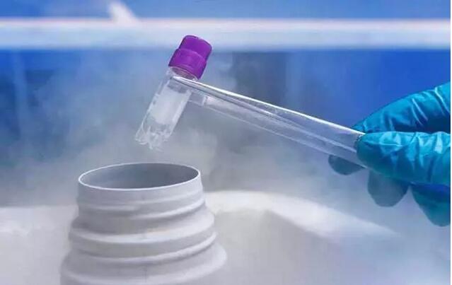 中国开展首例人体冷冻操作？科学家：复活很难