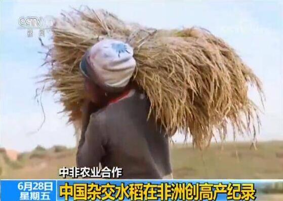QQ截图20190629200001.jpg