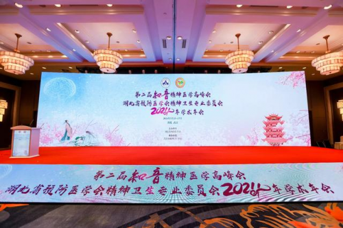 2024年湖北省预防医学会精神卫生专委会学术会议在武汉开幕