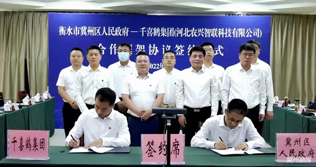 冀州区与千喜鹤集团举行合作框架协议签约仪式