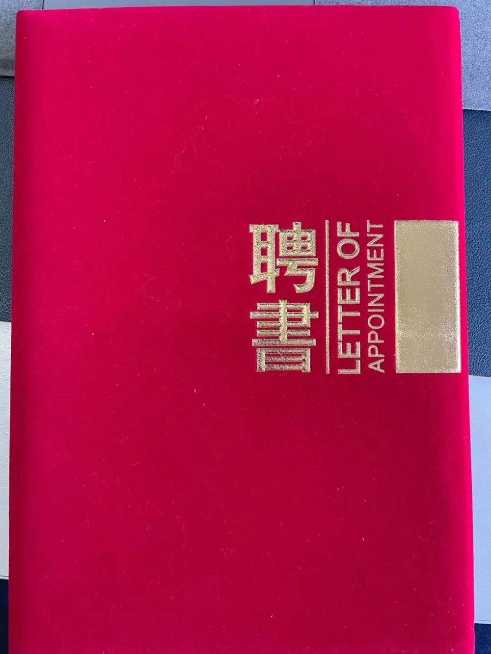 跨界赋能教育：娄嘉辉任特聘教授，引领职业技能认证与产业同频
