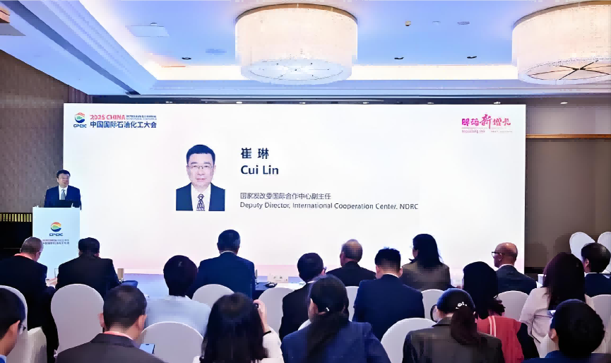 聚焦中沙合作新动向，董志强建言深化山东与沙特双向对接