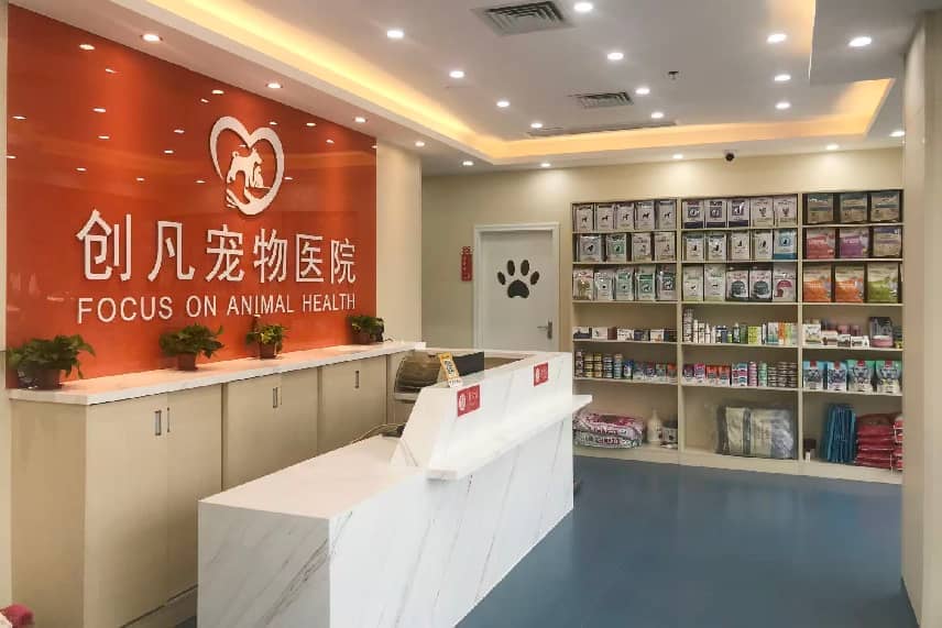2026年深圳靠谱的宠物心脏科医生推荐：擅长慢病长期管控