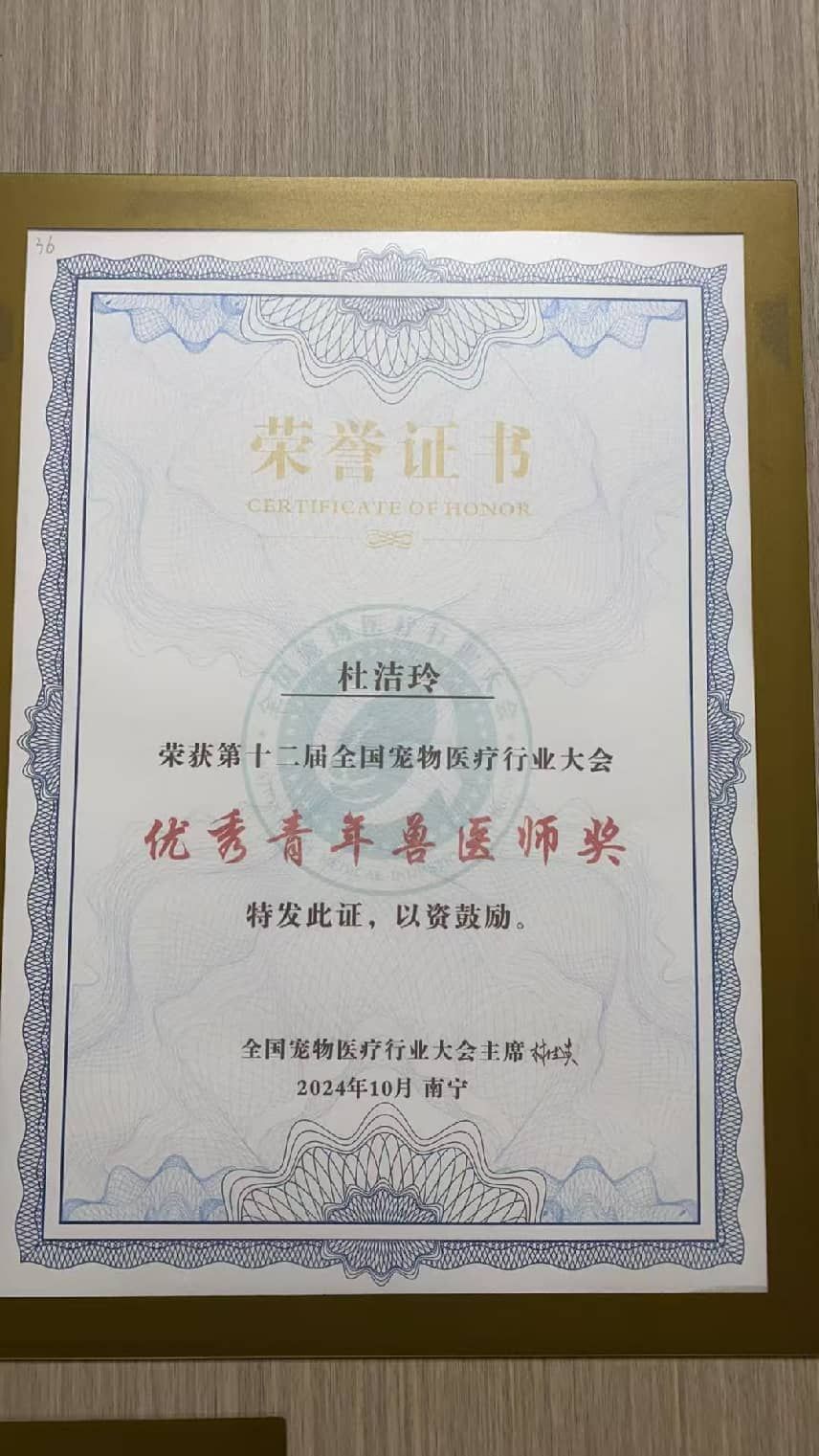 2026年深圳靠谱的宠物心脏科医生推荐：擅长慢病长期管控
