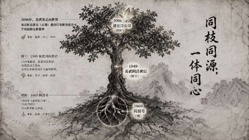 恪守百年祖训，易武同昌黄记（云南）进出口有限责任公司深耕制茶
